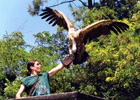 Idée sortie Montelimar enfants: Jardin aux oiseaux 