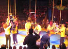 Idée sortie Rambouillet enfants: Une journe au cirque