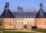 Idée sortie Montargis enfants: Chateau de Saint Fargeau