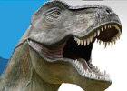 Idée sortie Agde enfants: Muse des Dinosaures 