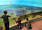 Idée sortie Frontignan enfants: Aquarium Mare Nostrum