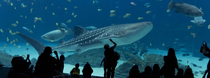Aquariums et milieu maritime