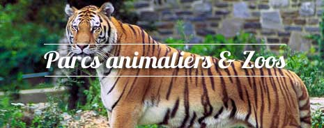 Zoos et parcs animaliers, idées de sorties en famille