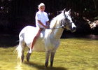 Idée sortie Castelnau-le-lez enfants: Les poneys du val d'emeraude