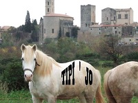 Idée sortie Activite-enfants enfants: Ferme equestre
