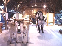 Idée sortie Macon enfants: Musée Bresse Idée sortie Macon enfants: Musée Bresse