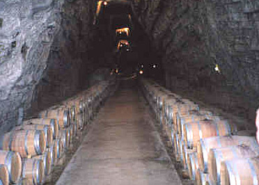 Idée sortie Activite-enfants enfants: Terra Vinea