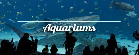 Les grands Aquariums, idées de sorties en famille